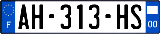 AH-313-HS