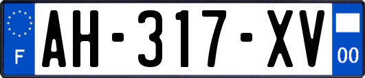 AH-317-XV
