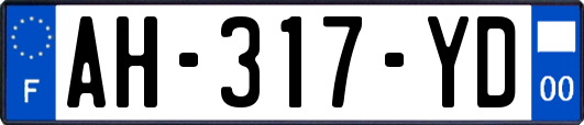 AH-317-YD