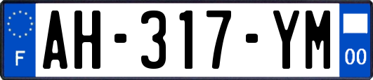 AH-317-YM
