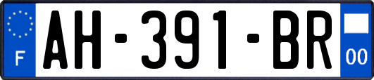 AH-391-BR