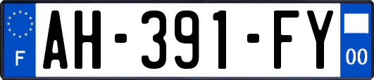 AH-391-FY