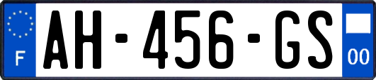 AH-456-GS