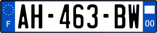 AH-463-BW