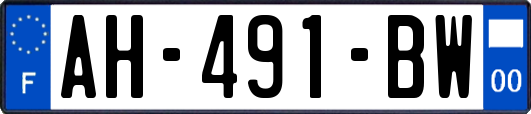 AH-491-BW