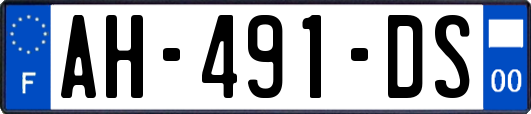 AH-491-DS