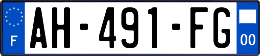 AH-491-FG