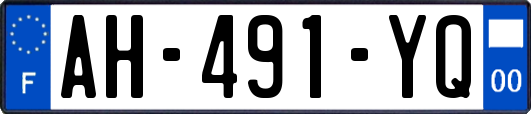 AH-491-YQ