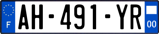 AH-491-YR