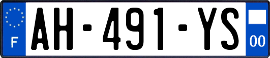 AH-491-YS