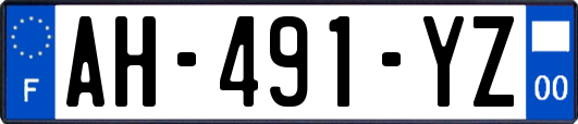 AH-491-YZ