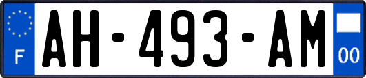 AH-493-AM