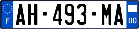 AH-493-MA