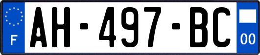 AH-497-BC