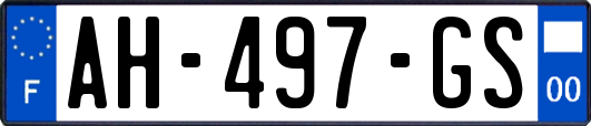 AH-497-GS