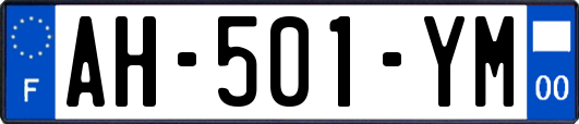 AH-501-YM