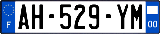 AH-529-YM