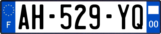 AH-529-YQ