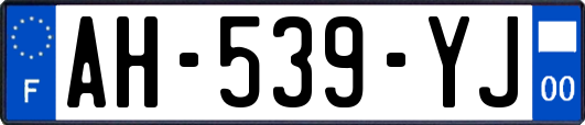 AH-539-YJ