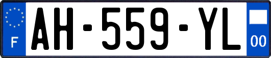 AH-559-YL