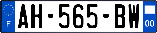 AH-565-BW