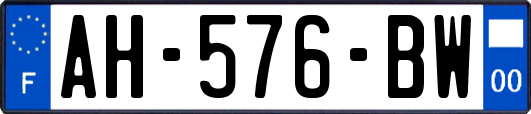 AH-576-BW