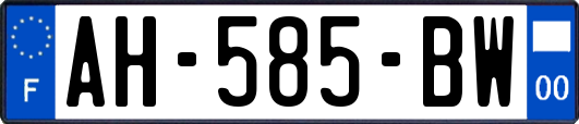 AH-585-BW