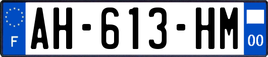 AH-613-HM