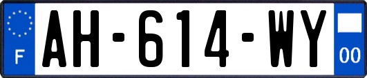 AH-614-WY