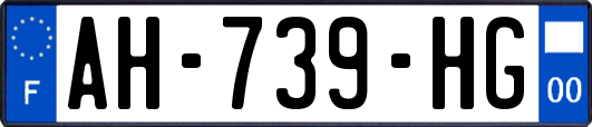 AH-739-HG