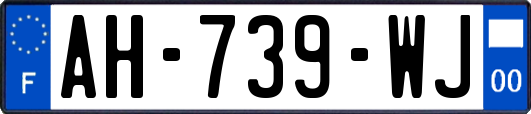 AH-739-WJ