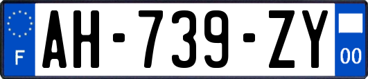 AH-739-ZY
