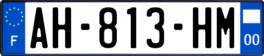 AH-813-HM