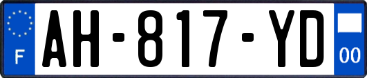 AH-817-YD