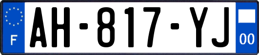 AH-817-YJ