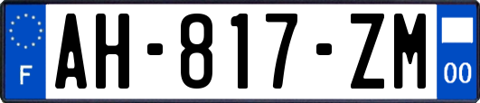 AH-817-ZM