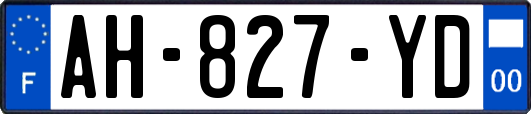 AH-827-YD
