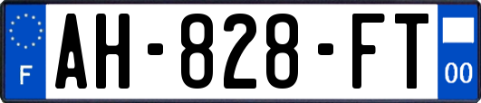 AH-828-FT