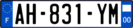 AH-831-YM