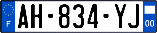 AH-834-YJ