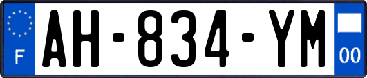 AH-834-YM