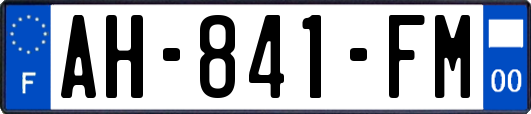 AH-841-FM