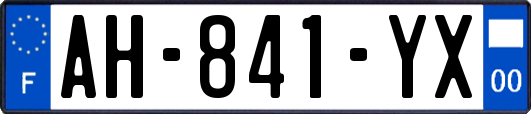 AH-841-YX
