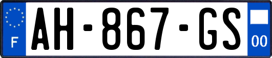 AH-867-GS