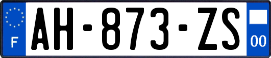 AH-873-ZS