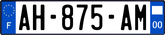 AH-875-AM