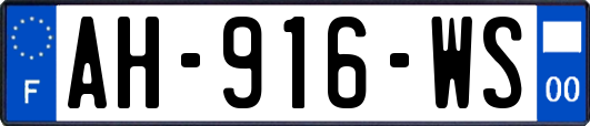 AH-916-WS