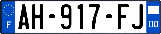 AH-917-FJ