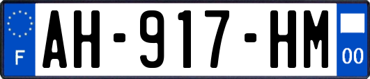 AH-917-HM
