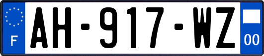 AH-917-WZ